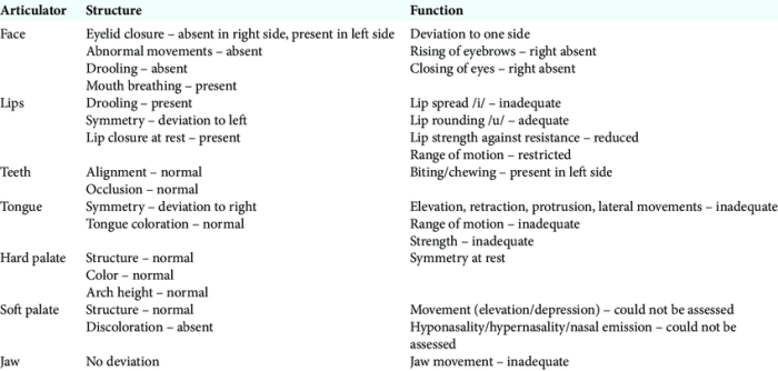 Oral mech exam write up