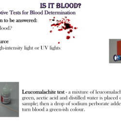 Evidence blood activity pdf