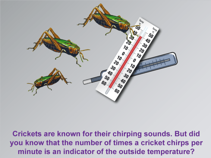 Analyzing data and cricket chirps