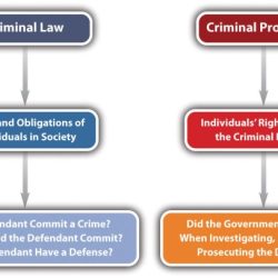 Criminal process crossword answer key