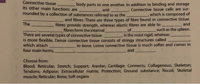 Select the correct statement regarding the cells of connective tissue