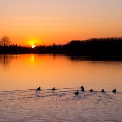 Two duck hunters are seated back-to-back in a boat