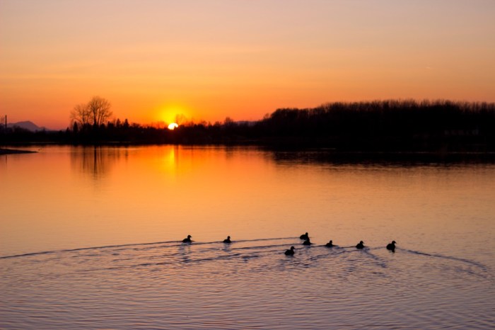 Two duck hunters are seated back-to-back in a boat