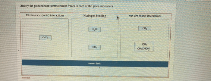 Identify the predominant intermolecular force