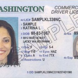 License numbers tuesday king5