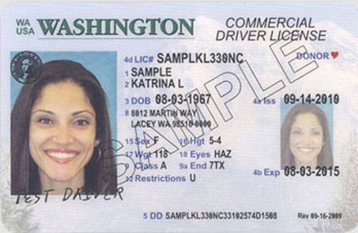 License numbers tuesday king5